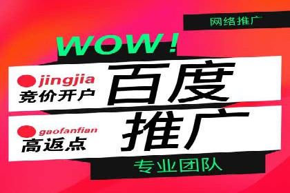 某企业选择SEM外包公司的决策与成果展示